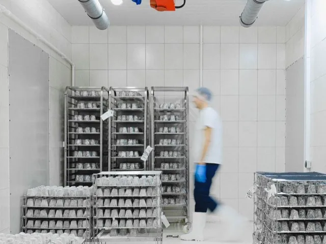 Hűtőkamra belső tere polcrendszerrel, hűtőházi üzemeltetés közben